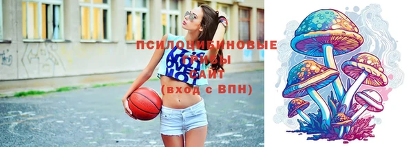 дмт Липки