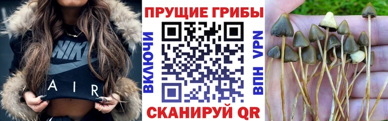 Псилоцибиновые грибы прущие грибы  Астрахань 
