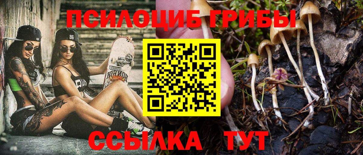 Псилоцибиновые грибы Psilocybine cubensis  Вход с VPN  Астрахань 