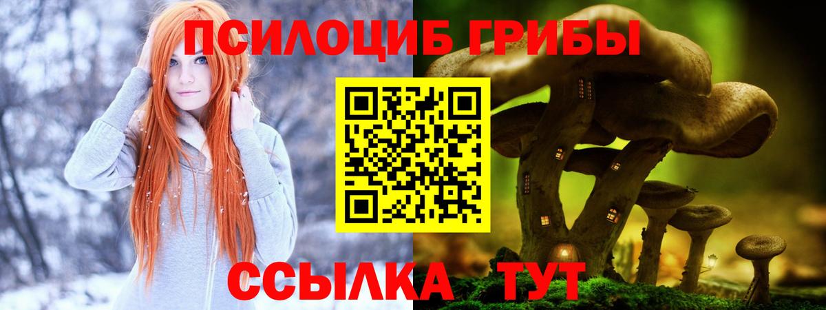 Псилоцибиновые грибы Psilocybine cubensis Астрахань
